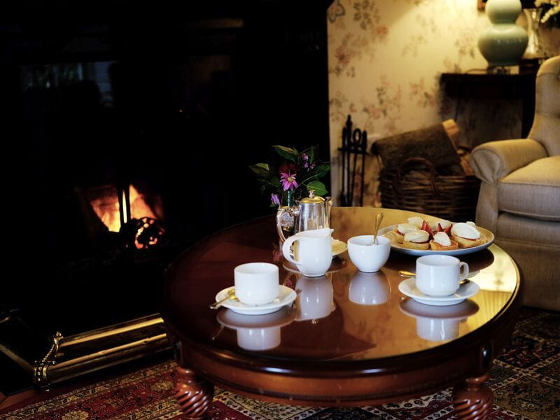 A drawing room at Rathsallagh House with period furniture and open fire