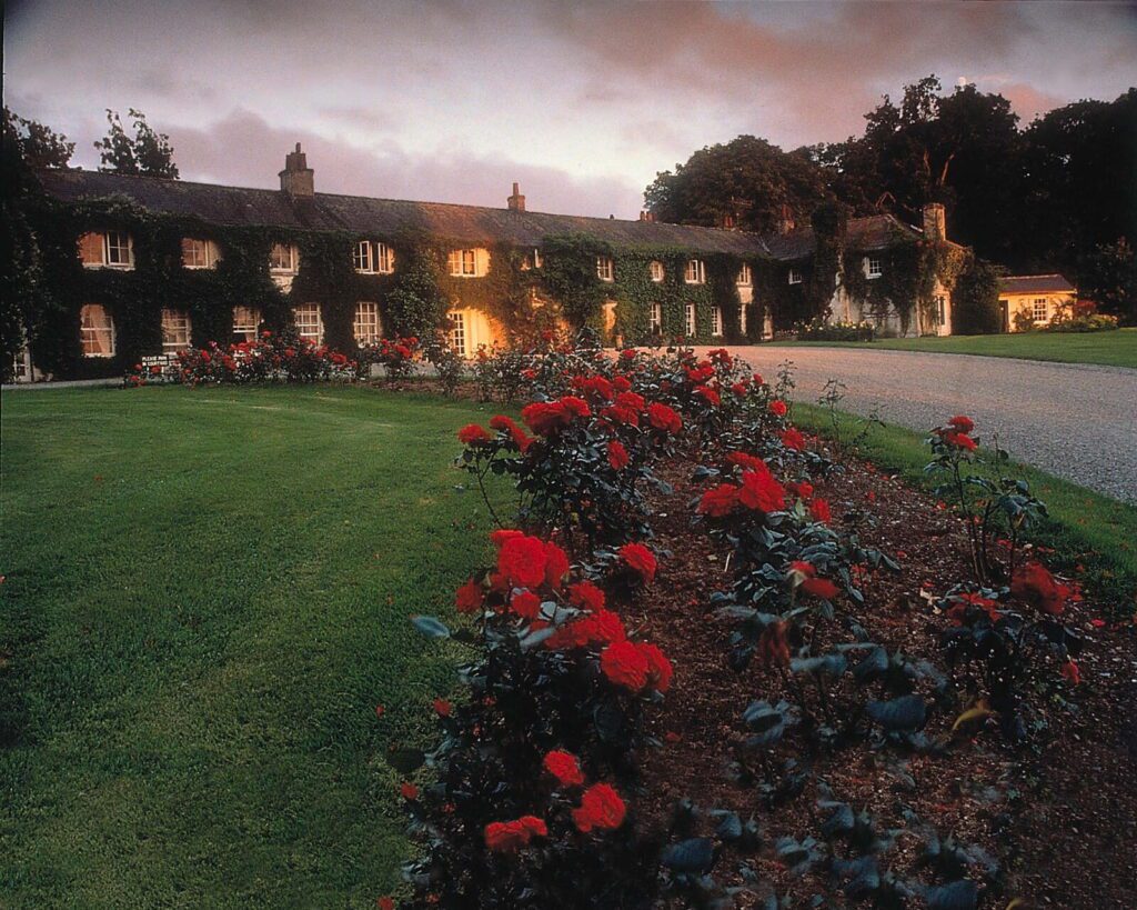 Rathsallagh House at dusk with a flowerbed of red roses